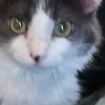 Franklin Martens Profile Picture