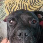 Daisy May Profile Picture