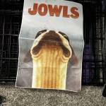 Jessika Newell Profile Picture