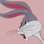 Ohshesonna Profile Picture