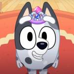 Zee yoca Profile Picture