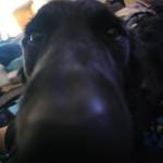 Aliya Appenay Profile Picture