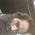 Zacheri Brewer Profile Picture