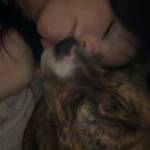 Tayla Hutchesson Profile Picture