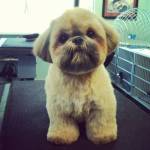 Andrei Zar Profile Picture