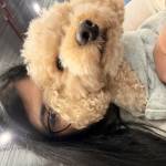 Nadia Hossain Profile Picture