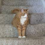 lucy r Profile Picture