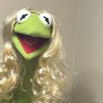 freya fluge Profile Picture