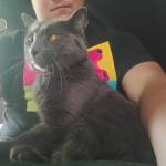 Micah Dale Profile Picture